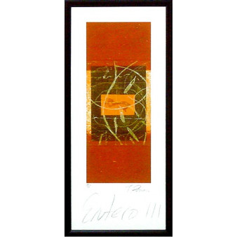 16745 ENTERO III - 12X28