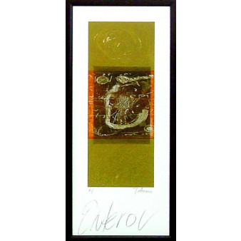 16747 ENTERO V - 12X28