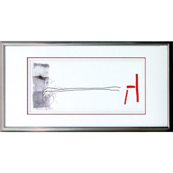 16767 SENTRY II - 20X40
