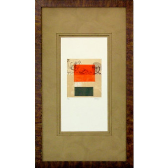 16793 INSPIRE I - 20X36