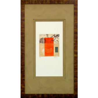 16794 INSPIRE II - 20X36