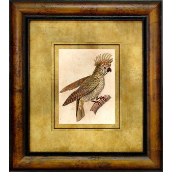 17339 COCKATOO I - 24X28