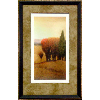 17388 SIMPLE GLENN I - 26X43