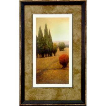 17389 SIMPLE GLENN II - 26X43