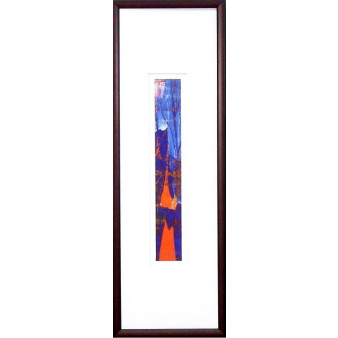17491 SPECTRUM II - 9X29