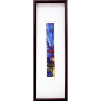 17493 SPECTRUM IV - 9X29