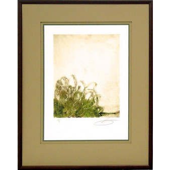 17624 PACHON I - 25X35