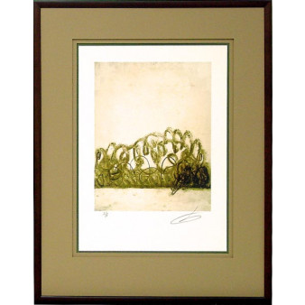 17625 PACHON II - 25X35