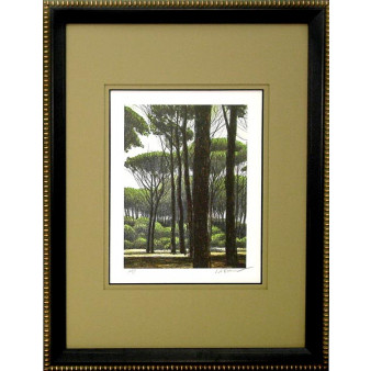17824 IN THE CLEAR II - 24X32