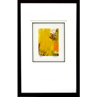 17883 EMBYA I - 14X23