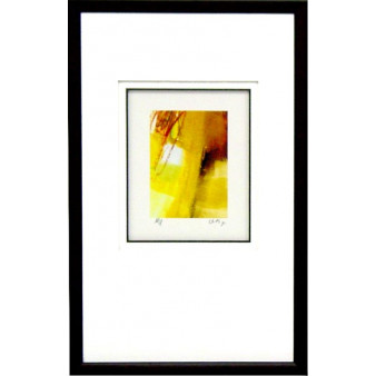 17886 EMBYA IV - 14X23
