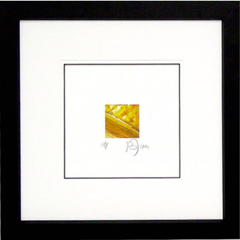17889 LOUISA I - 30X30