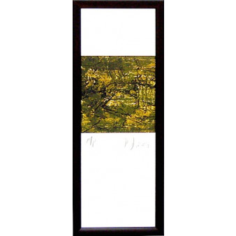 17916 QUELLOR II - 7X25