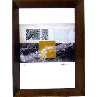 18004 GUANARA III - 19X27