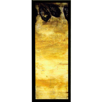 18047 SUENO III - 17X49