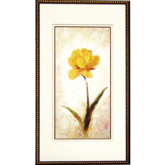 18141 COPPANS I - 23X42