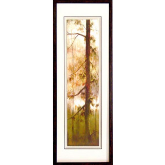 18146 CASCADE GOLD I - 20X60