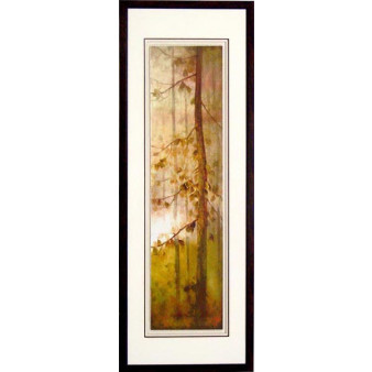 18147 CASCADE GOLD II - 20X60