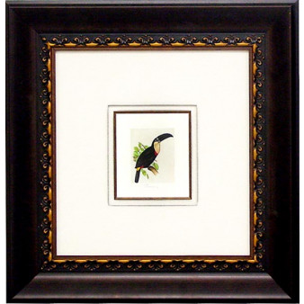18189 TOUCAN I - 18X19