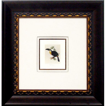 18190 TOUCAN II - 18X19