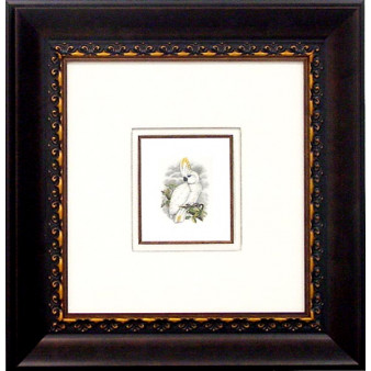 18192 COCKATOO II - 18X19