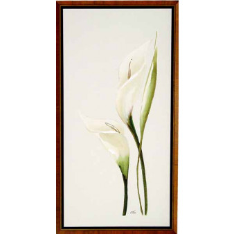 18456 CALLA LILLY II - 31X61