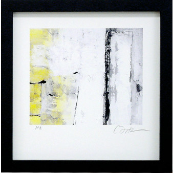 19273 FREMONT STREET II - 24X25