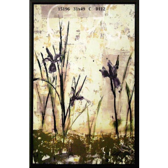15196 TAIZE I - 31X49