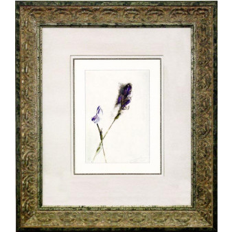 15229 LILAC STUDY II - 26X31