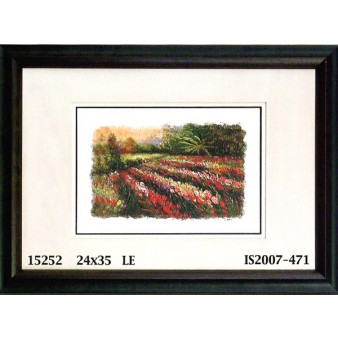 15252 ROWS - 24X35