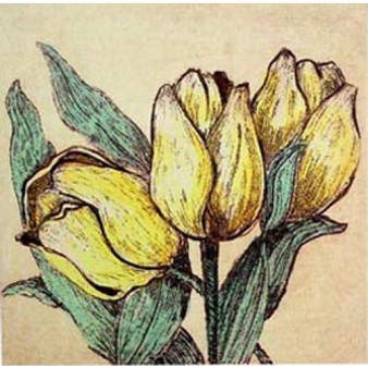 15314 SPRING I - 24X24