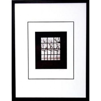 15643 TREE PLAY II - 25X33