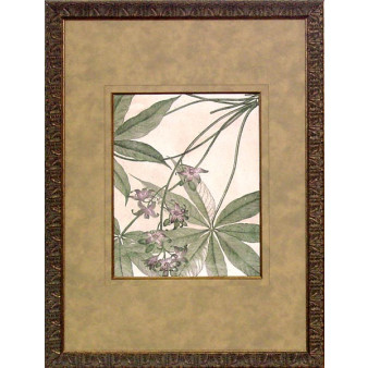 15656 BOTANICAL R - 18X25
