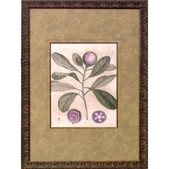 15659 BOTANICAL U - 18X25