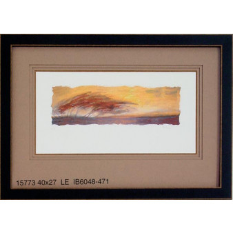 15773 COLLUM'S BRUSH II - 40X27