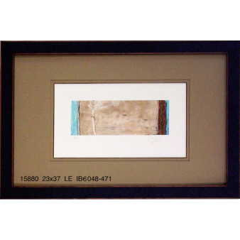 15880 CONSTELLATION II - 23X37