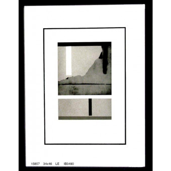 15857 TREED I - 34X46