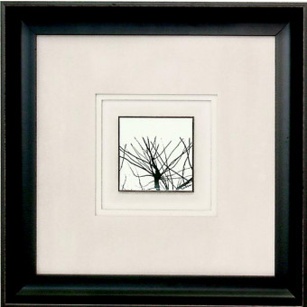 15909 BRANCHES I - 20X20