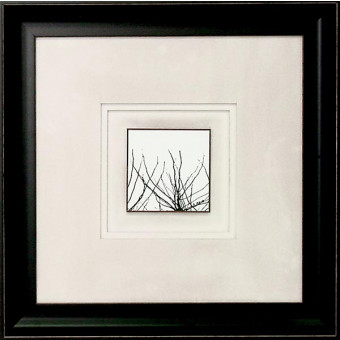 15910 BRANCHES II - 20X20