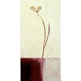 16006 SO SIMPLE II - 20X40 (Temporarily Discontinued)