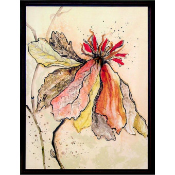 16008 LUZ I - 31X41