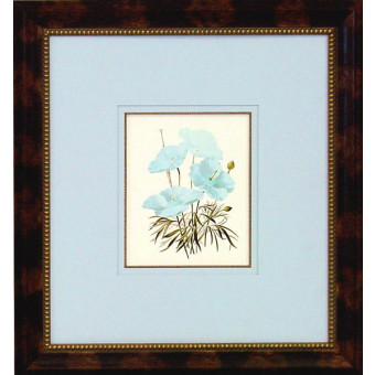16083 PLATE 410 - 20X22