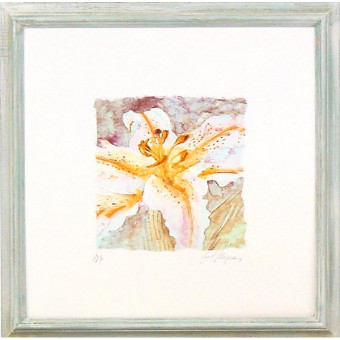 16116 B'S GARDEN I - 20X20