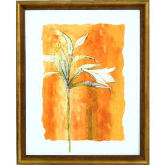16175 MANHASSET - 30X38
