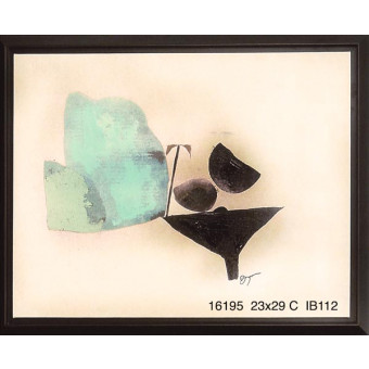 16195 VALOR I - 23X29