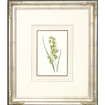 16285 PLATE 83 - 20X24