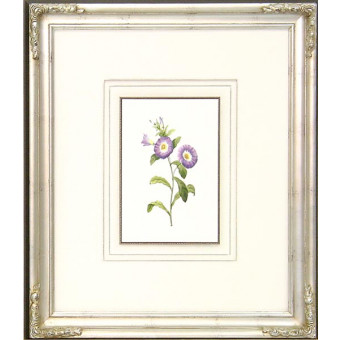 16287 PLATE 85 - 20X24