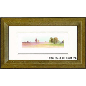16288 YOST'S LANDING I - 20X40
