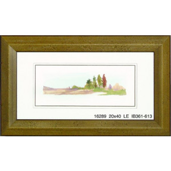 16289 YOST'S LANDING II - 20X40