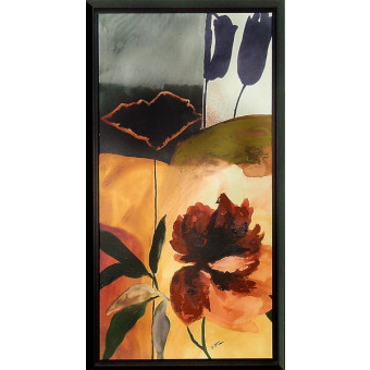 16380 INSPIRED II - 21X41